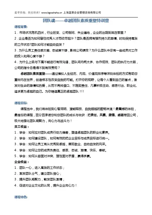 团队魂—《卓越团队素质重塑特训营》(一天图片说明版)