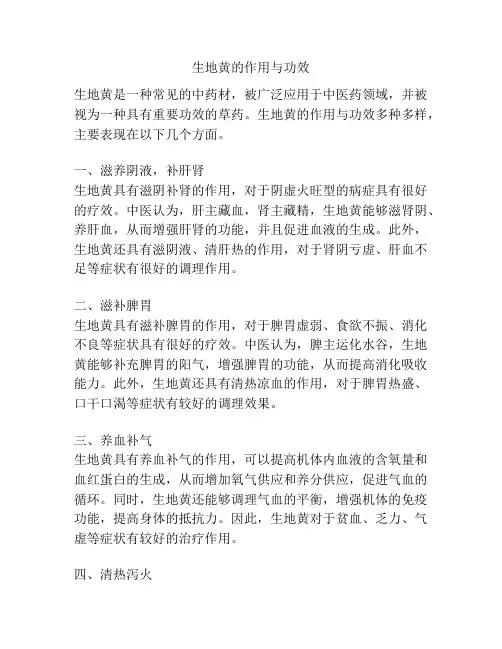生地黄的作用与功效