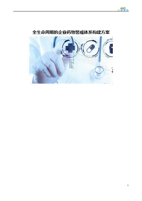 企业药物警戒体系构建方案