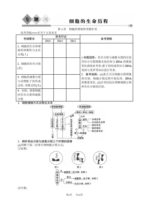 高考生物二轮配套文档：专题3.1细胞的增殖和受精作用