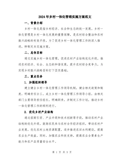 2024年乡村一体化管理实施方案范文