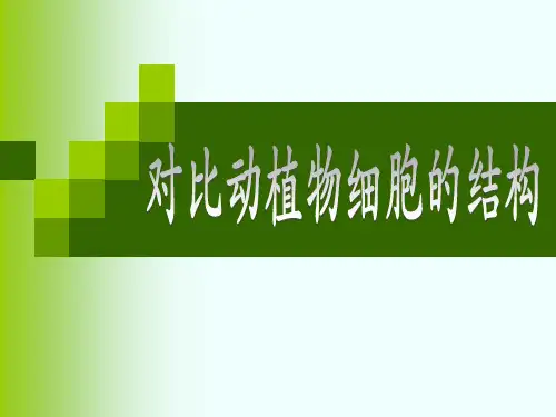 对比动植物细胞的结构
