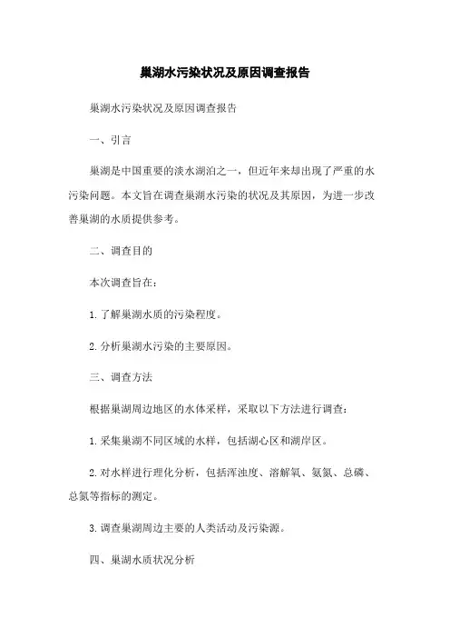 巢湖水污染状况及原因调查报告