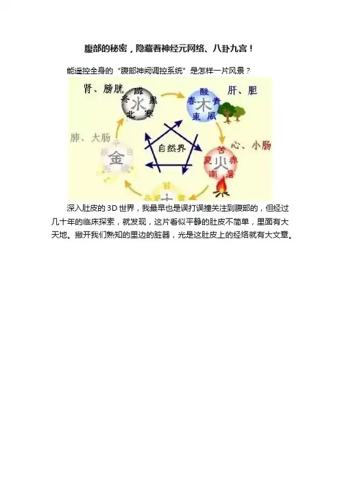 腹部的秘密，隐藏着神经元网络、八卦九宫！
