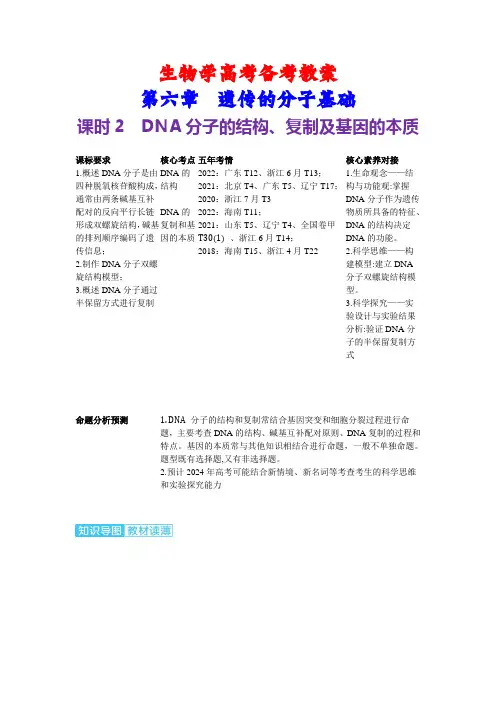 生物学高考备考教案：6-2 DNA分子的结构、复制及基因的本质