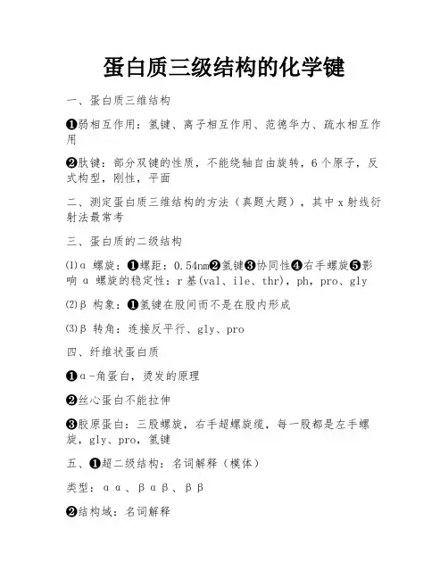 蛋白质三级结构的化学键
