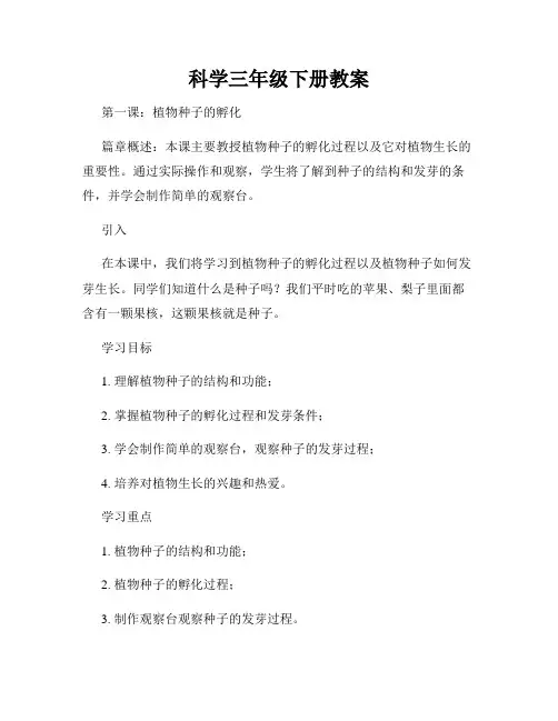 科学三年级下册教案