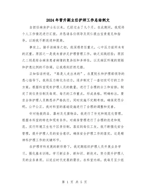 2024年晋升副主任护师工作总结例文(二篇)