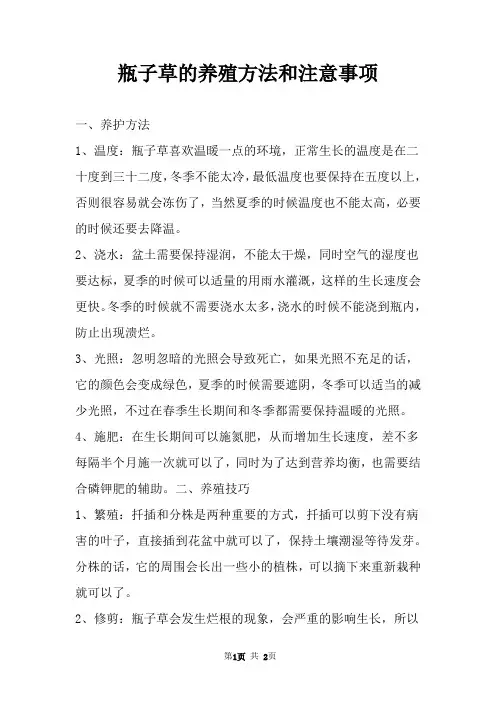 瓶子草的养殖方法和注意事项 