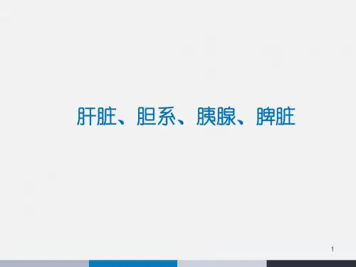 消化系统与腹膜腔  ppt课件