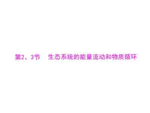 生态系统的能量流动和物质循环    课件 (共56张 )