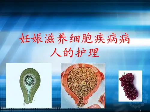 滋养细胞疾病病人的护理08级本科ppt课件