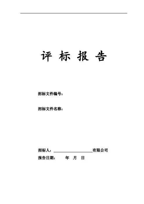 招标议标评标报告模板