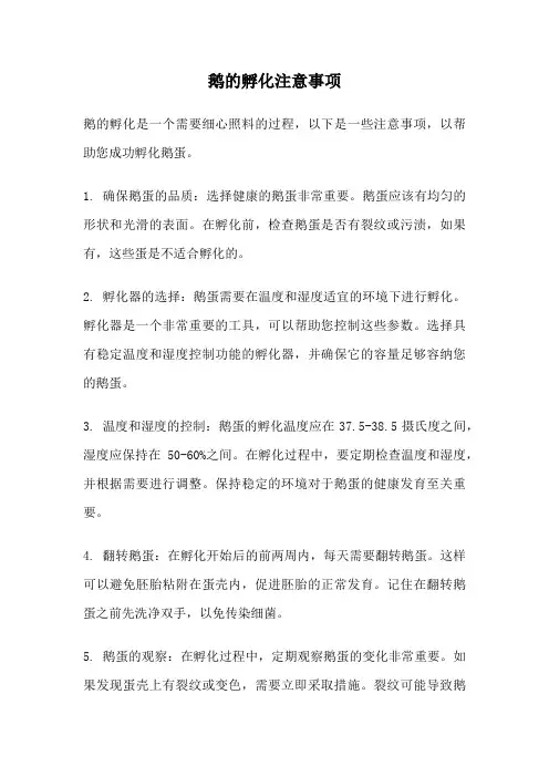 鹅的孵化注意事项