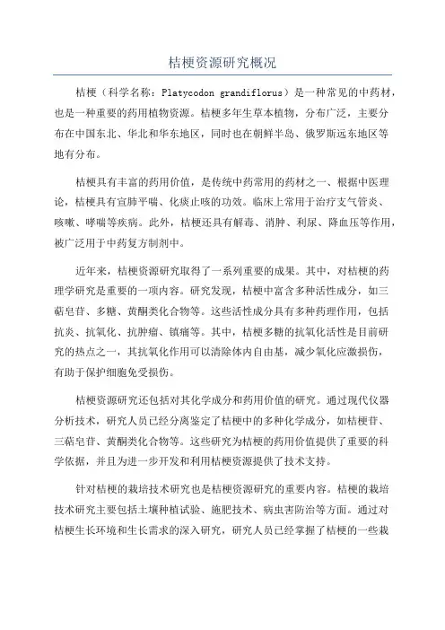 桔梗资源研究概况
