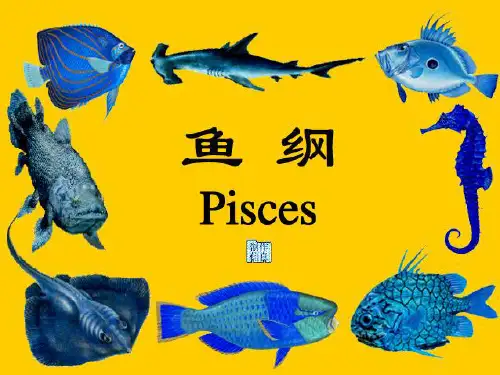 鱼类生物学课件