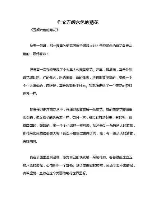 作文五颜六色的菊花