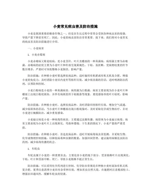 小麦常见病虫害及防治措施