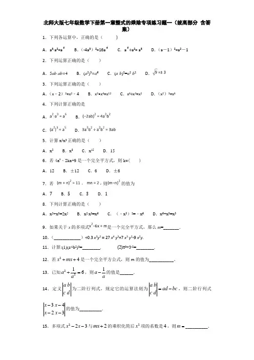 北师大版七年级数学下册第一章整式的乘除专项练习题er (拔高部分 含答案)