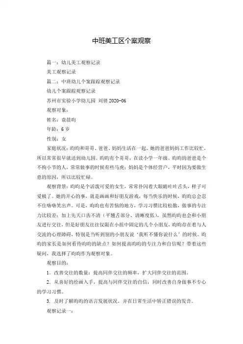 中班美工区个案观察