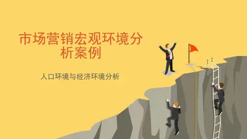 市场营销宏观环境分析案例
