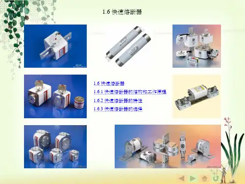 快速熔断器ppt课件