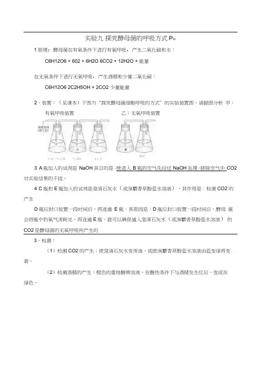 高中生物必修1试验探究酵母菌的呼吸方式