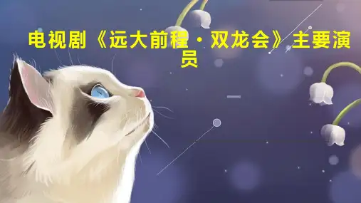 电视剧 远大前程 双龙会 主要演员