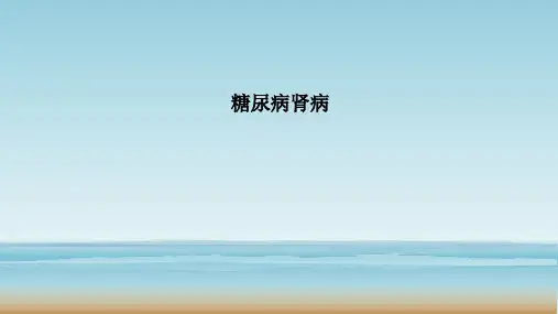 糖尿病肾病PPT课件