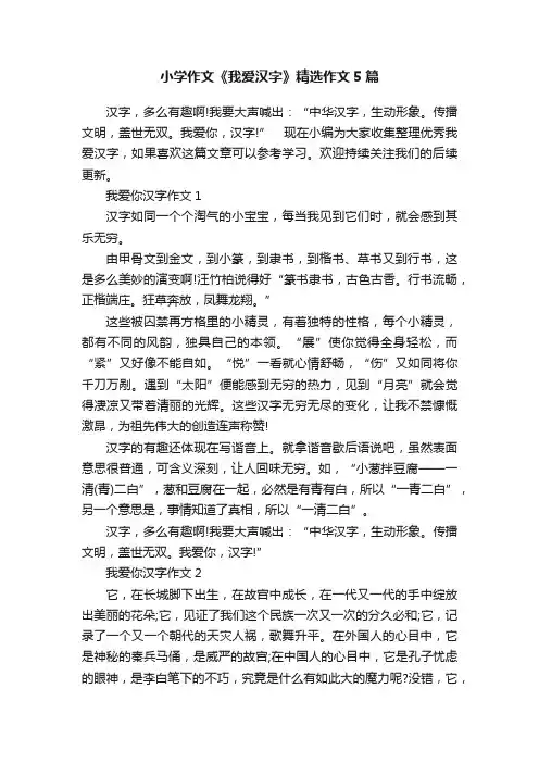 小学作文《我爱汉字》精选作文5篇