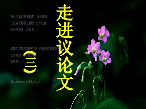 材料作文的审题立意ppt