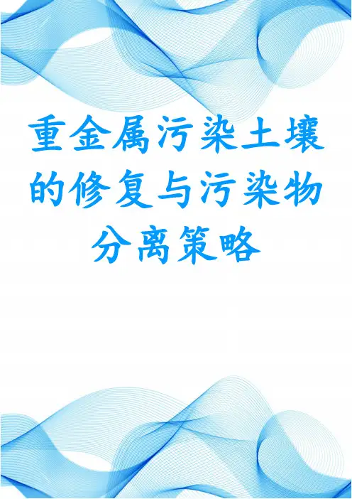 重金属污染土壤的修复与污染物分离策略