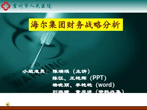 海尔集团财务战略分析
