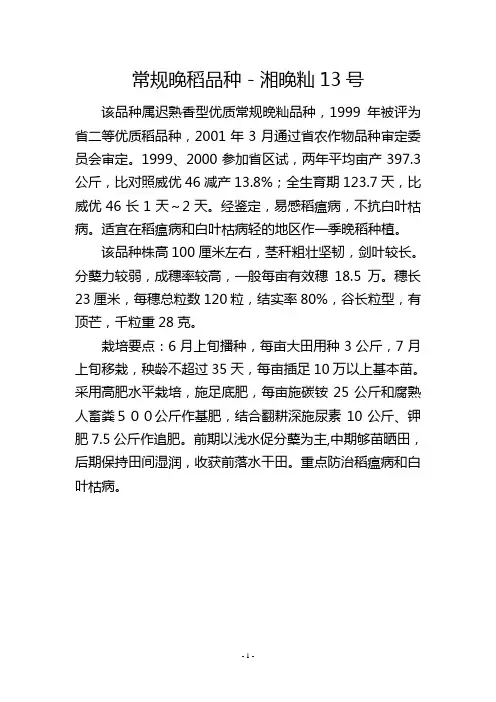 常规晚稻品种-湘晚籼13号