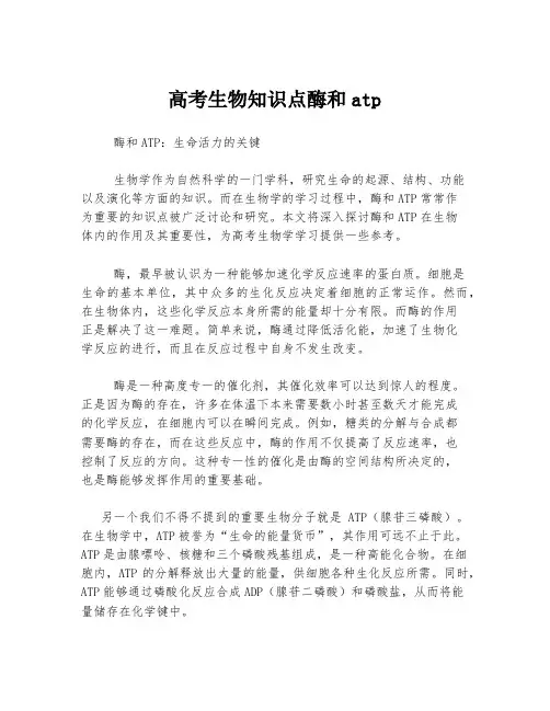 高考生物知识点酶和atp
