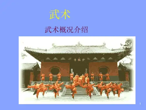 武术专业知识