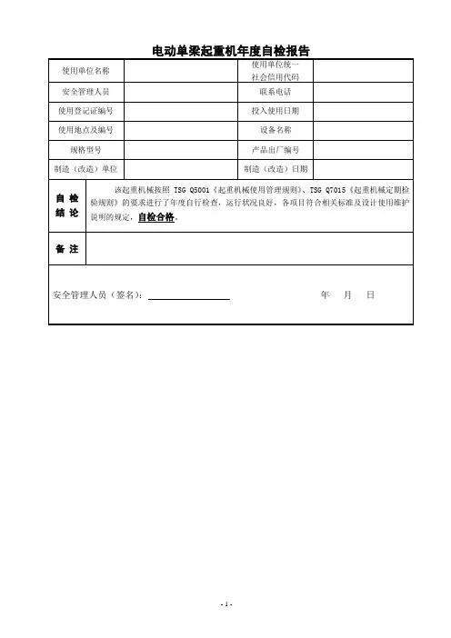 各种型号起重机年度自检报告