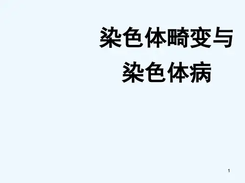 染色体畸变与染色体病