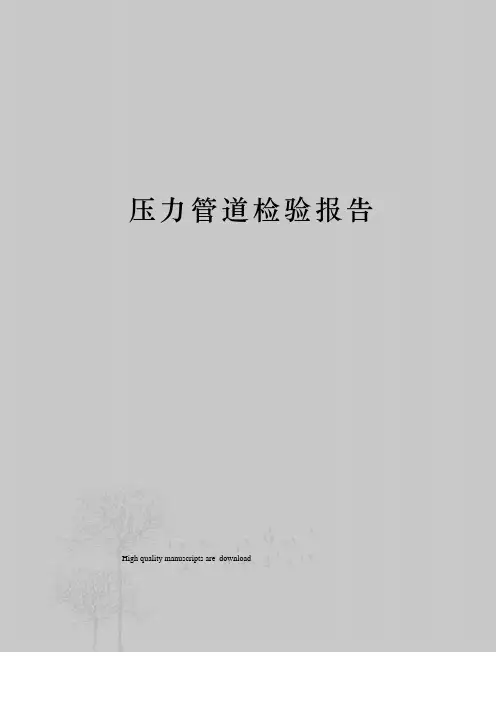压力管道检验报告
