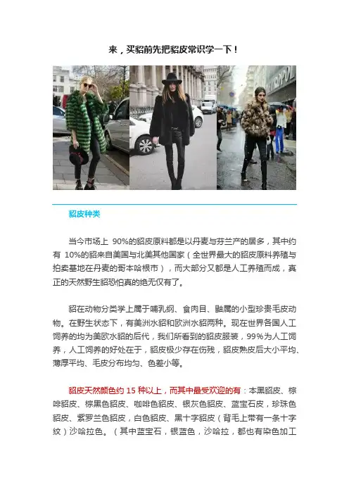 来，买貂前先把貂皮常识学一下！