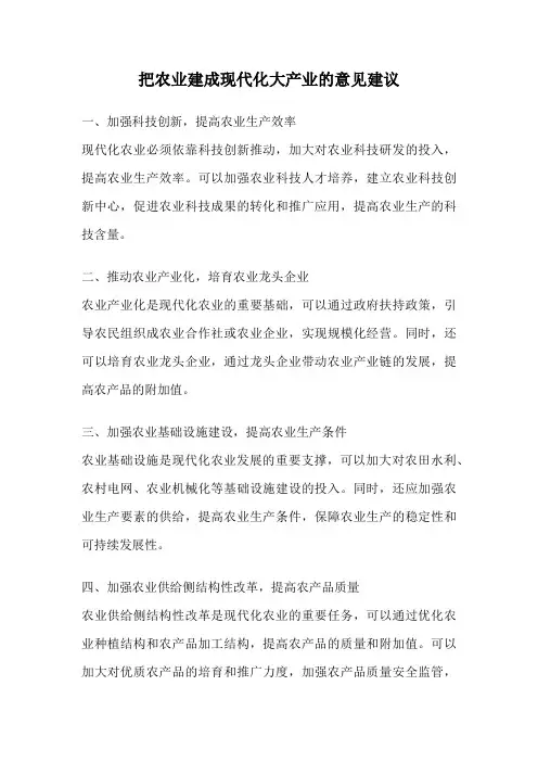 把农业建成现代化大产业的意见建议