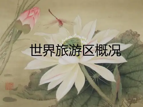 世界旅游区概况概况PPT课件