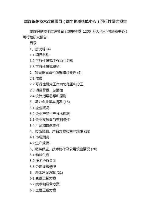 燃煤锅炉技术改造项目（燃生物质热能中心）可行性研究报告