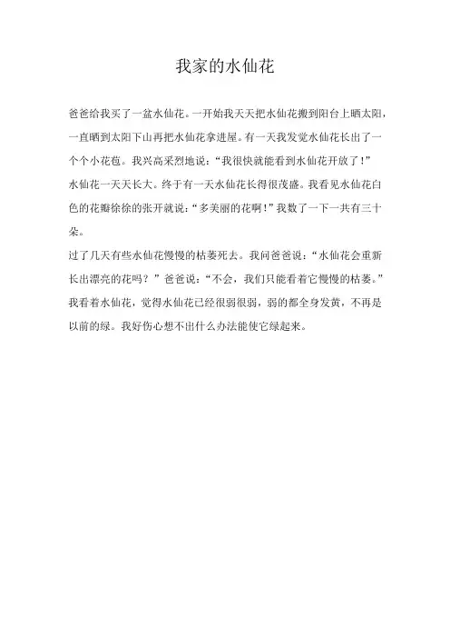 二年级状物我家的水仙花