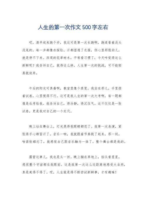 人生的第一次作文500字左右