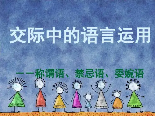 交际中的语言运用