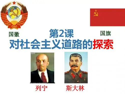 对社会主义道路的探索分析