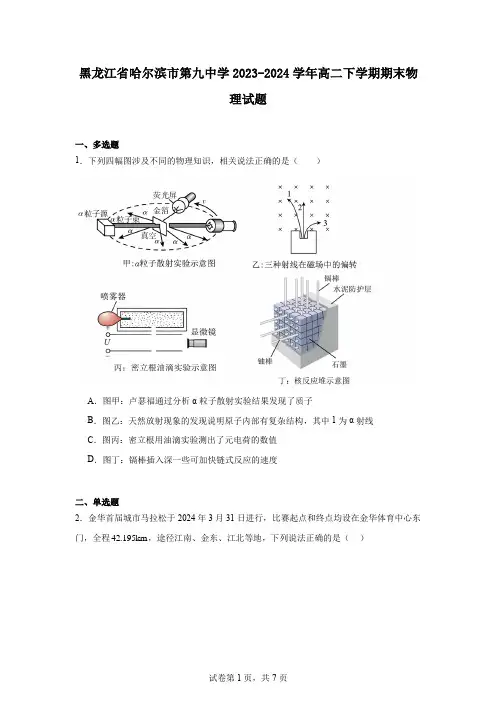 黑龙江省哈尔滨市第九中学2023-2024学年高二下学期期末物理试题