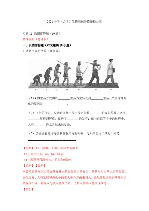 专题11 识图作答题(10题)-2021中考(会考)生物高频易错题提分王(解析版)