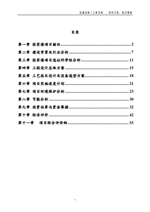 张家港投资项目立项申请报告